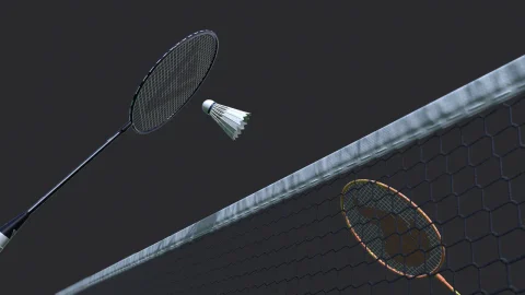 羽毛球运动 - Sport Badminton