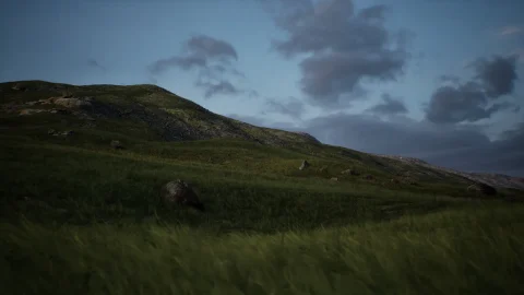 草原包 - Brushify Grasslands Pack