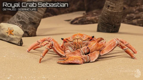 皇家蟹 Royal Crab - King Sebastian