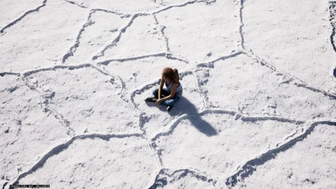 盐地景观 - Salt Landscape