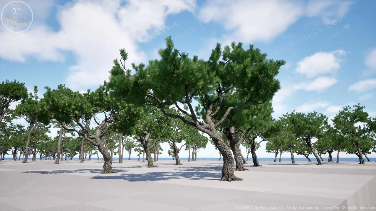 针叶树(松树、柏树和冷杉)DZ Trees - Conifers (Pines, Cypresses and Firs)