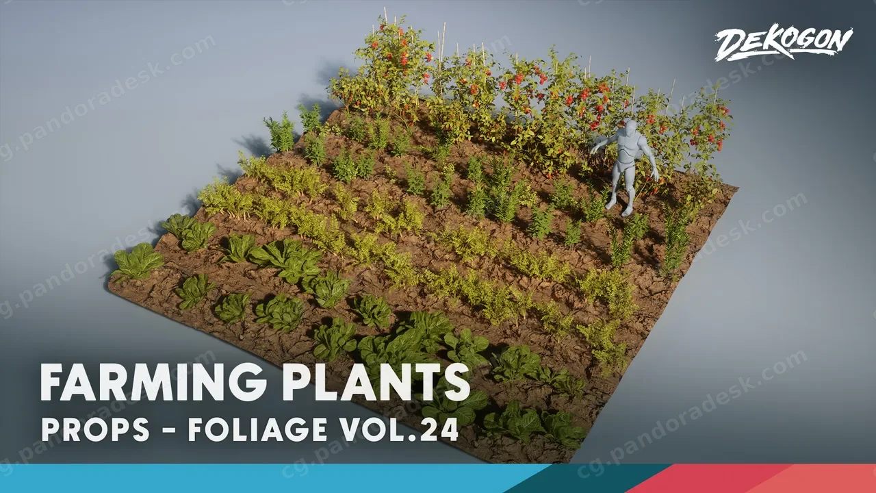 植物图鉴 第24辑——园艺栽培植物 Foliage VOL.24 - Farming Plants