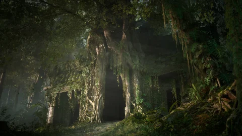 森林深处 - Deep in the Forest