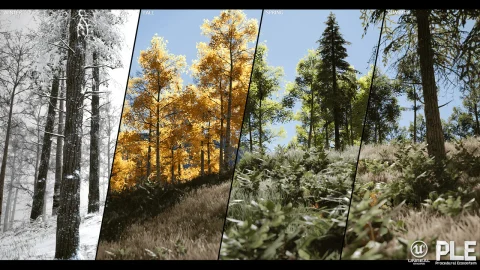 程序化景观生态系统 - PLE - Procedural Landscape Ecosystem