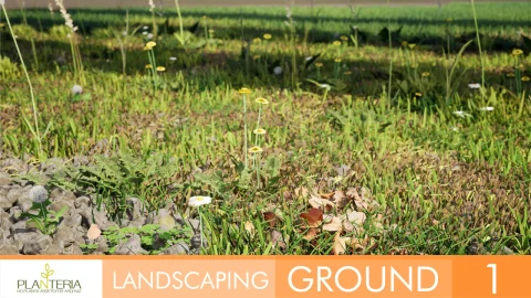 园林绿化地面 - Landscaping Ground 1