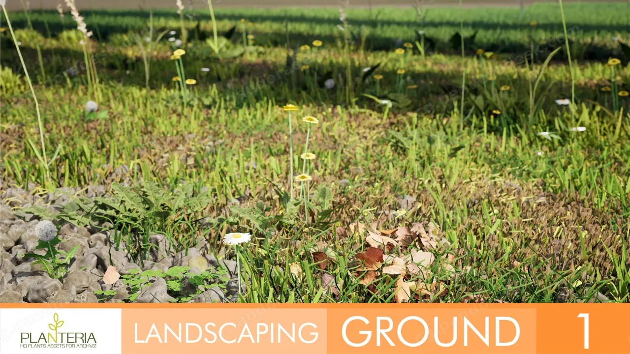 园林绿化地面 - Landscaping Ground 1