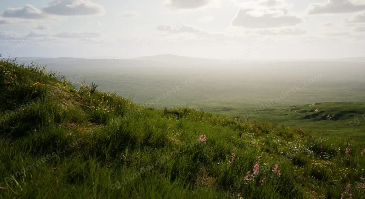高山草甸 ALPINE MEADOW