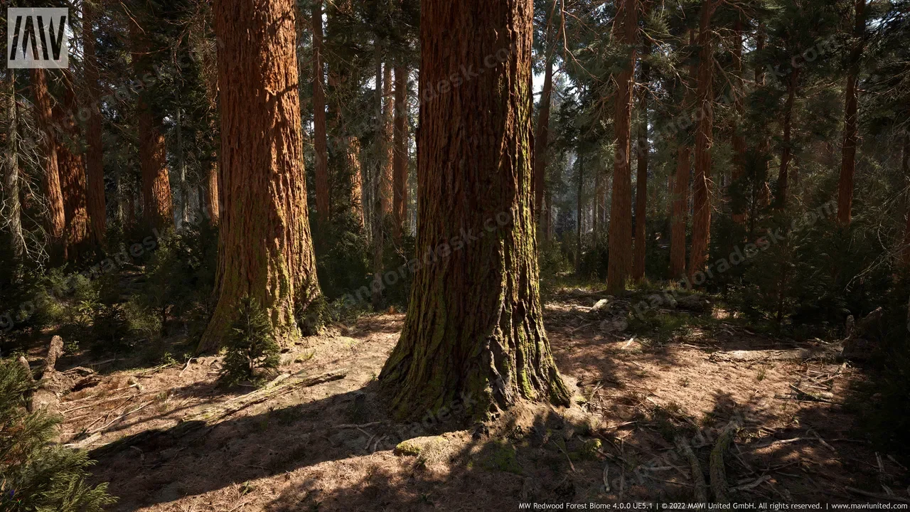 红木森林-MW Redwood Tree Forest Biome 4.1.0