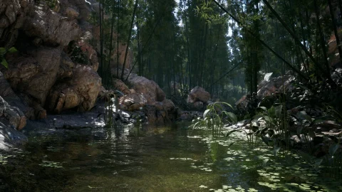 竹子林山谷 - Bamboo Valley