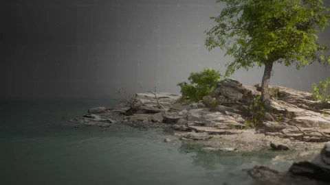 UE5虚幻5 Realistic RiverRock 超写实河边植被石头树木模型包