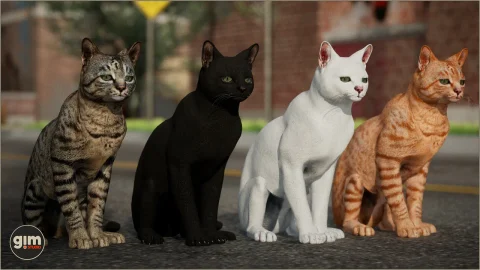 毛发家猫带动画母猫 - Animalia - Domestic Cat