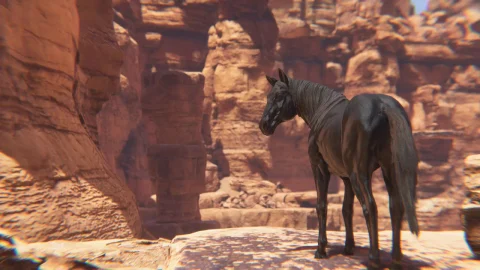 天马骏马-Horse Animset