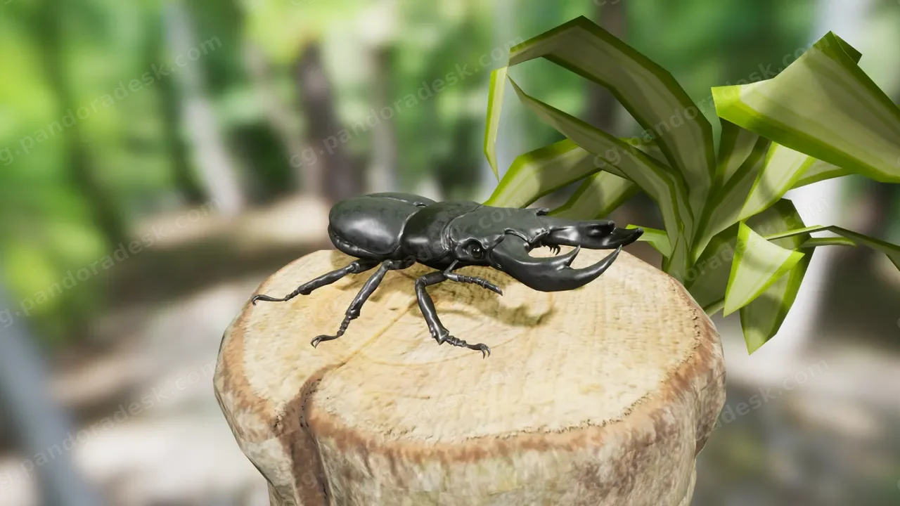 昆虫包 - Insect Pack