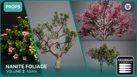 Nanite中式园林植物梅花松柏树灌木 Nanite Foliage Vol2 Asian