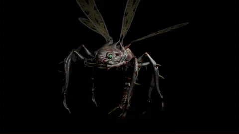 危险的苍蝇 Dangerous Fly
