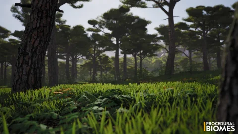 程序化生态环境-Procedural Biomes