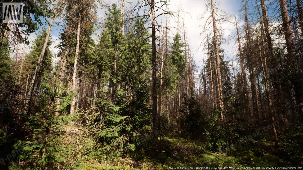 MW 枯萎云杉森林树群系 - MW Dead Spruce Forest Trees Biome