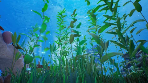 海底珊瑚礁-Reef Kit