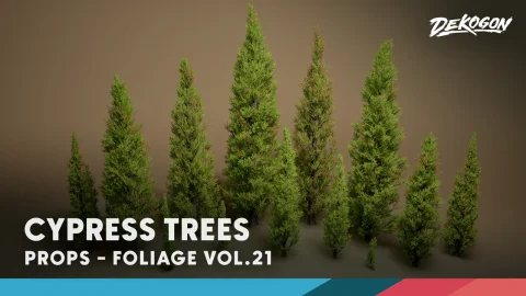 绿植特辑 第21期 - 柏树 Foliage VOL.21 - Cypress Trees