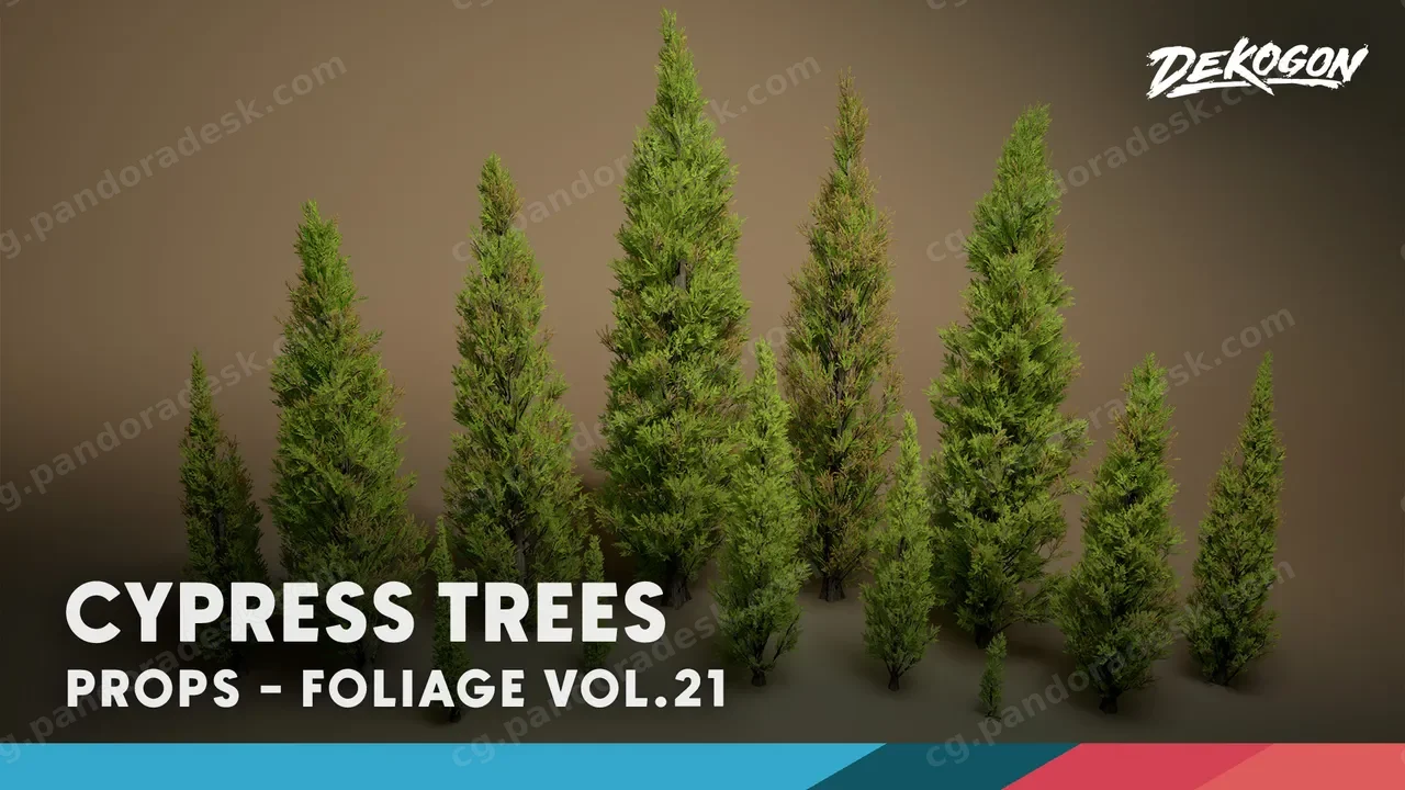 绿植特辑 第21期 - 柏树 Foliage VOL.21 - Cypress Trees