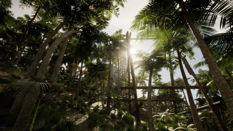 热带地区的机库仓库 - Hangar warehouse in the tropics