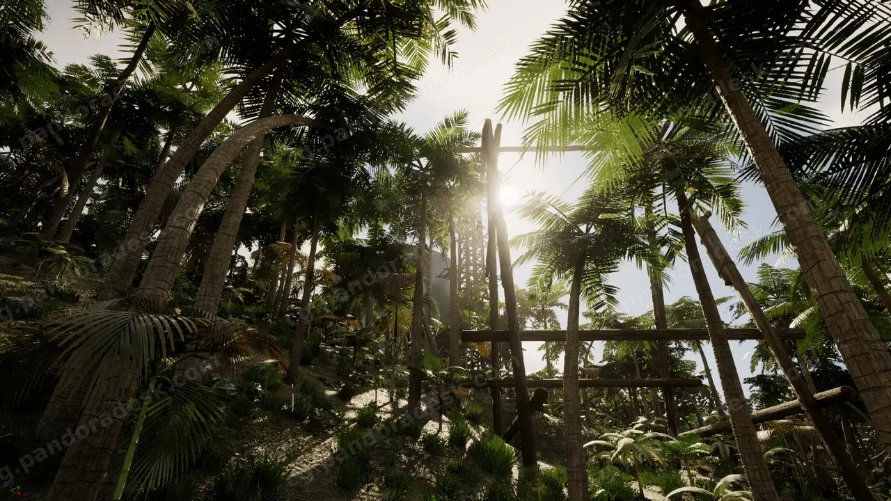 热带地区的机库仓库 - Hangar warehouse in the tropics