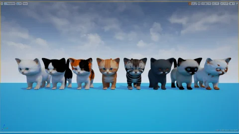 可爱的小猫-Cute Kitten