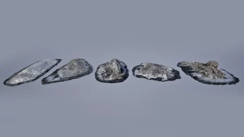 扫描雪堆 - Scanned Snow Piles