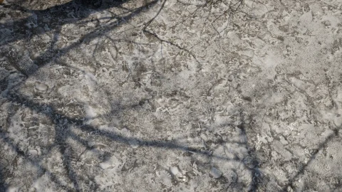 雪 扫描材质 - Snow Vol. 1 - Scanned Materials