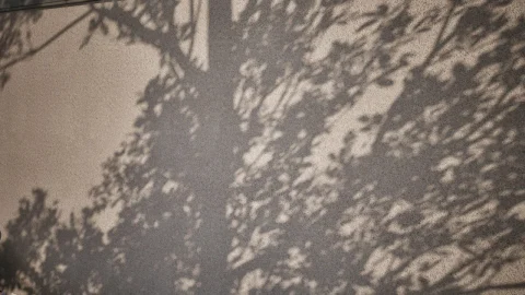道路 03 - 扫描摄影测量材质 Roads 03 - Scanned Photogrammetry Materials