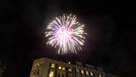 带声音的烟花套装 Fireworks Pack with sounds