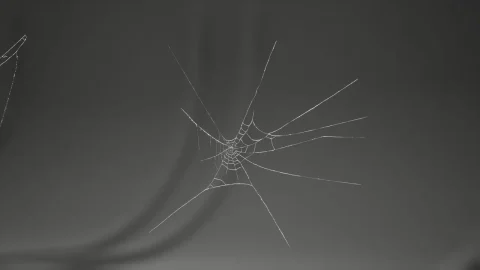 游戏高品质蜘蛛网模型道具 - MAE Cobweb Collection 01
