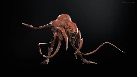 猛禽 Raptor