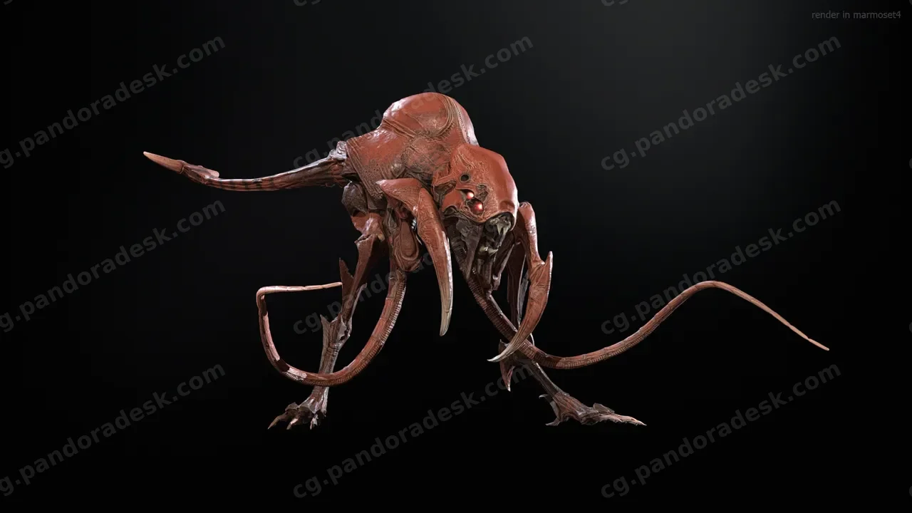 猛禽 Raptor