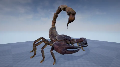 巨型蝎子-Giant Scorpion