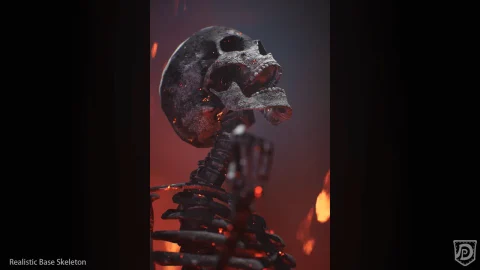 逼真的骨骼骷髅模型 Realistic Base Skeleton