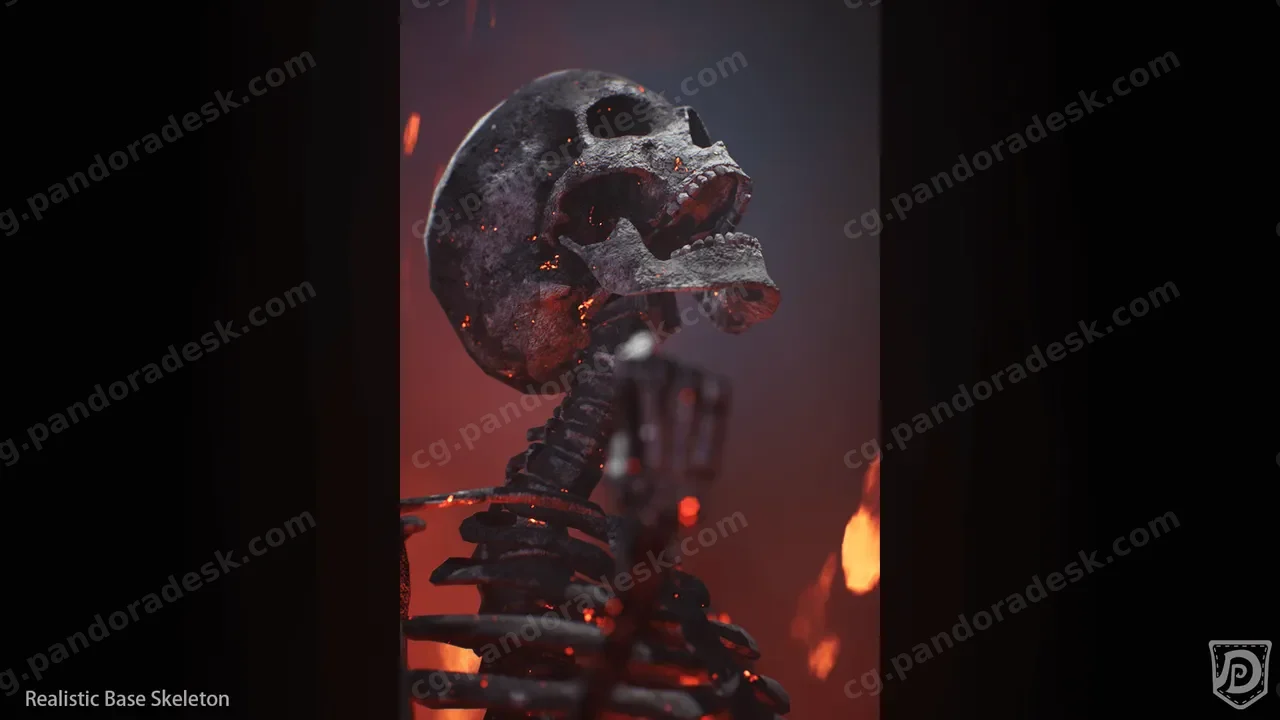 逼真的骨骼骷髅模型 Realistic Base Skeleton