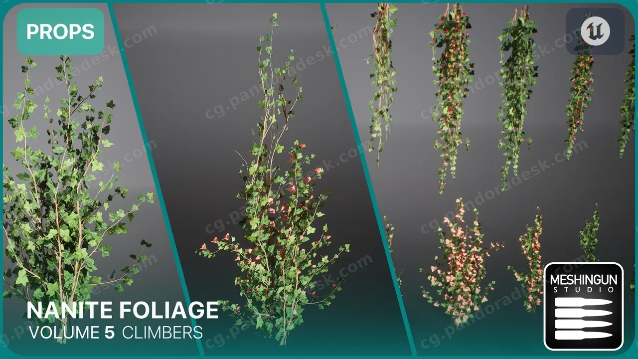 Nanite爬山虎藤蔓墙面植物模型 Nanite Foliage Vol5 Climbers