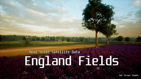 英格兰田野 - Landscape: England Fields - Real Scale Satellite Data