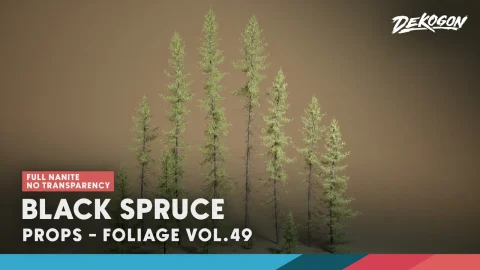 植被 第49卷 - 黑云杉 无透明 Foliage VOL.49 - Black Spruce (Nanite - NO TRANSPARENCY)
