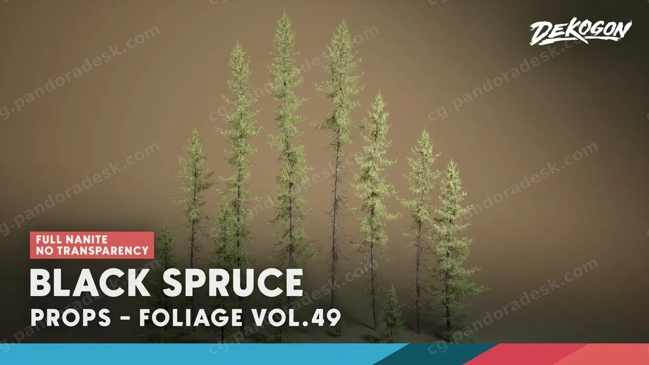 植被 第49卷 - 黑云杉 无透明 Foliage VOL.49 - Black Spruce (Nanite - NO TRANSPARENCY)