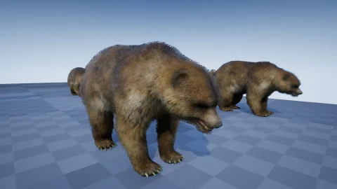 森林动物包-FOREST ANIMALS PACK