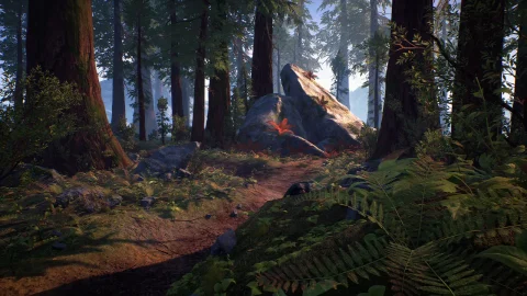 树木森林-Forest Starter Pack