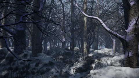 寒冷森林-Cold Forest
