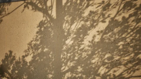 混凝土 04 - 扫描摄影测量材质 Concrete 04 - Scanned Photogrammetry Materials