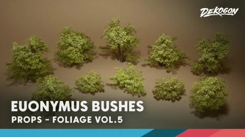 植物图鉴 第5辑 - 卫矛灌木丛 Foliage VOL.5 - Euonymus Bushes