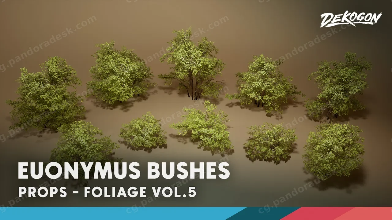 植物图鉴 第5辑 - 卫矛灌木丛 Foliage VOL.5 - Euonymus Bushes