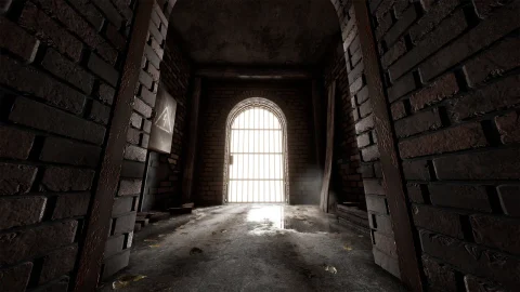 地窖/酒窖-Root Cellar