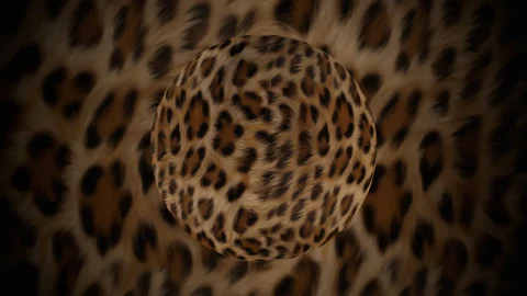 豹纹材质包1 - Leopard Fur Material Pack 1