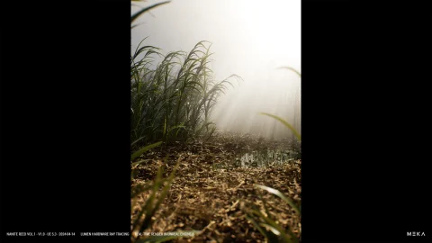 芦苇植物模型 - Nanite Reed Vol.1